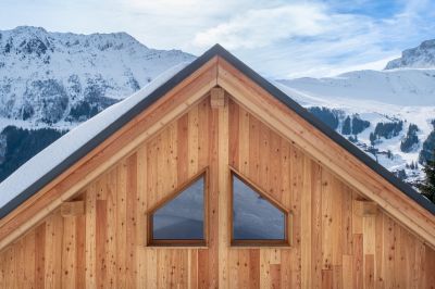 Barn Siding Replacement