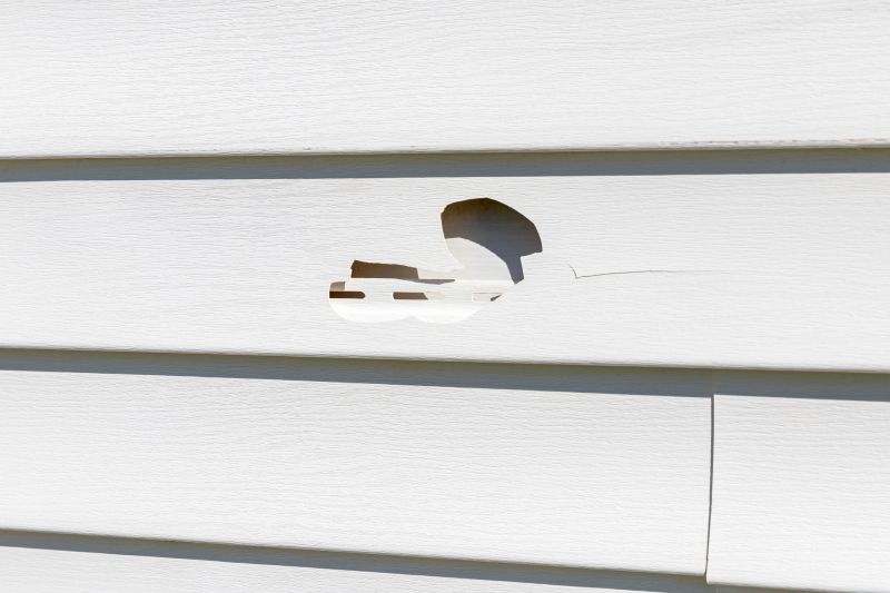 Replacing Damaged Vinyl Siding